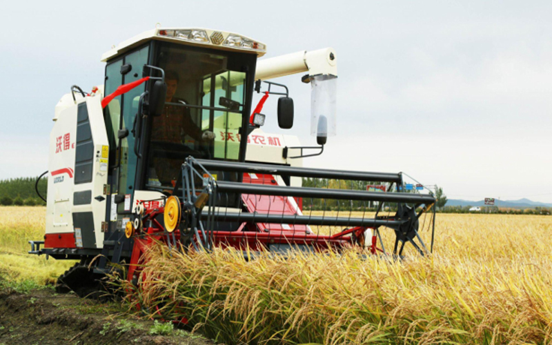 Một máy gặt đập liên hợp do FMWorld sản xuất hiện đang hoạt động trên một cánh đồng lúa.