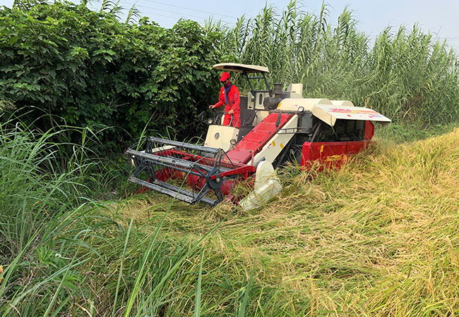 Combine-Harvester-Feilong6