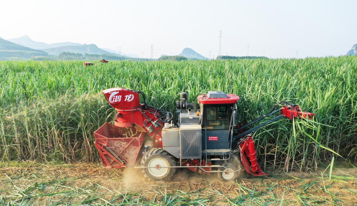 Công nghệ trao quyền cho 'Ngành công nghiệp ngọt': Sản xuất thông minh của Trung Quốc dẫn đến một cuộc cách mạng mới trong thu hoạch mía ở Thái Lan——FMWORLD đạt lượng giao hàng hàng năm cao kỷ lục tại thị trường Thái Lan